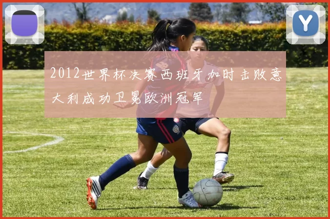 2012世界杯决赛西班牙加时击败意大利成功卫冕欧洲冠军