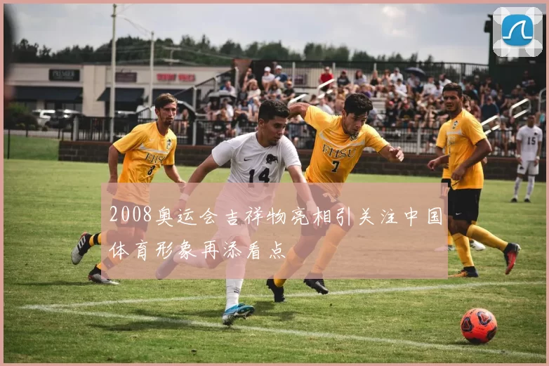 2008奥运会吉祥物亮相引关注中国体育形象再添看点