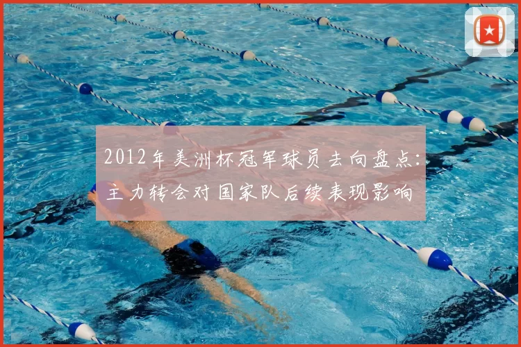 2012年美洲杯冠军球员去向盘点：主力转会对国家队后续表现影响