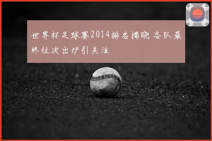 世界杯足球赛2014排名揭晓 各队最终位次出炉引关注